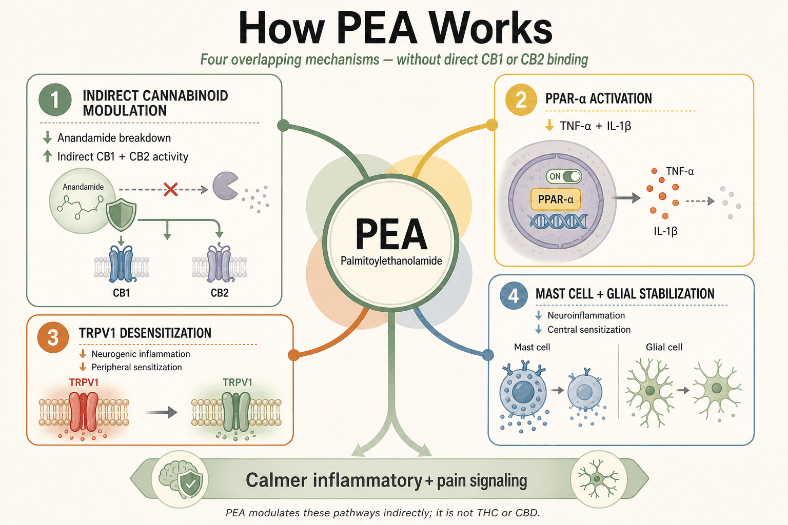 How PEA works